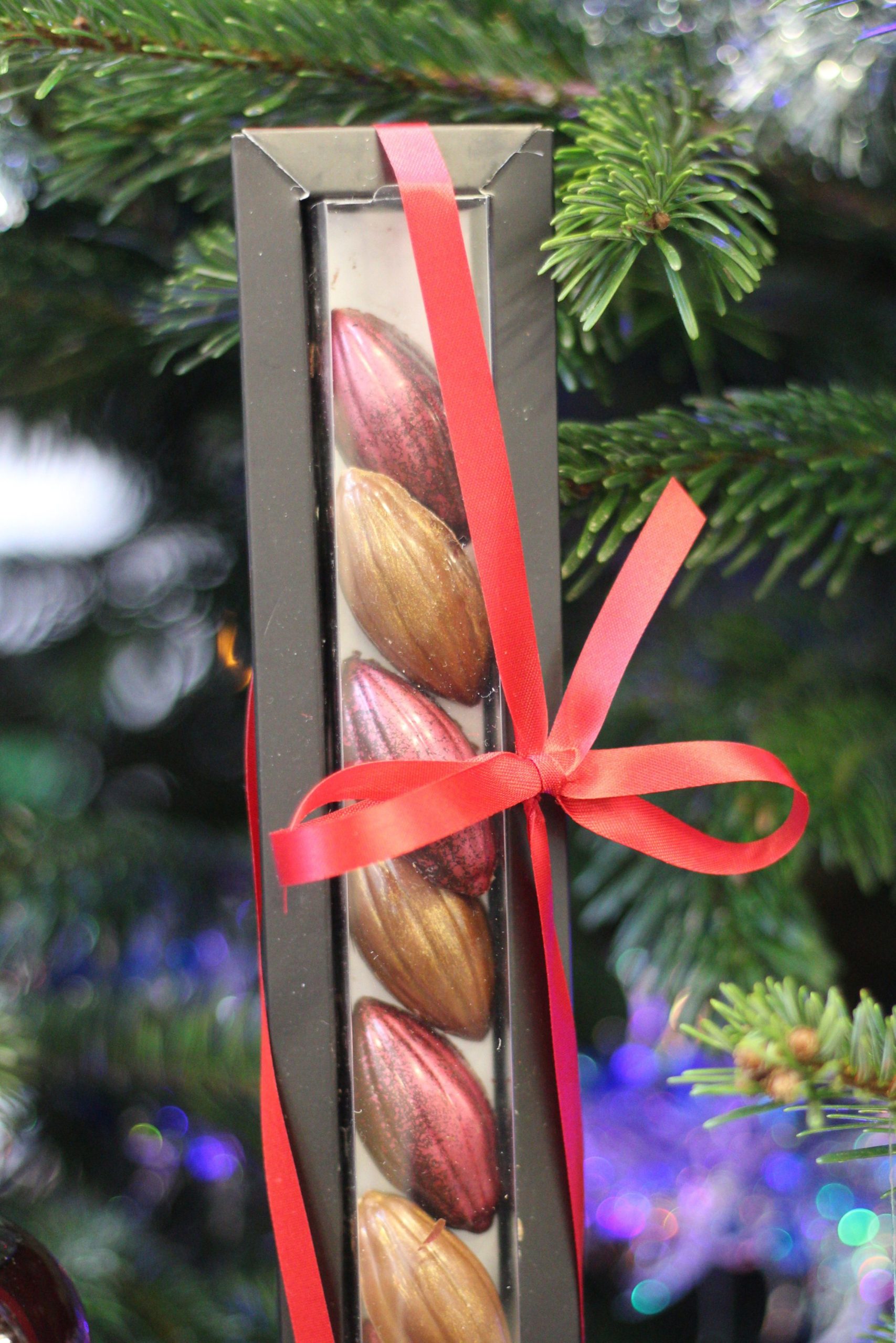 Spiced Ananas et Chocolats "Cuisine Sucrée" – Image 3